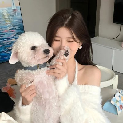 不了情